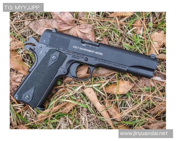 篮球明星柯尔特